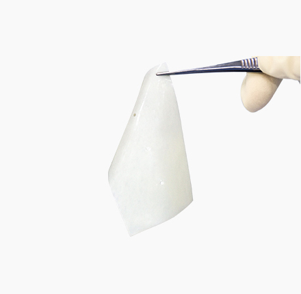 尊龙凯龙时中国思® 生物疝补片