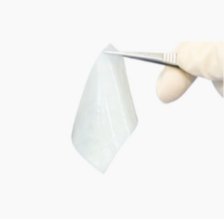 尊龙凯龙时中国思® 心外科生物补片